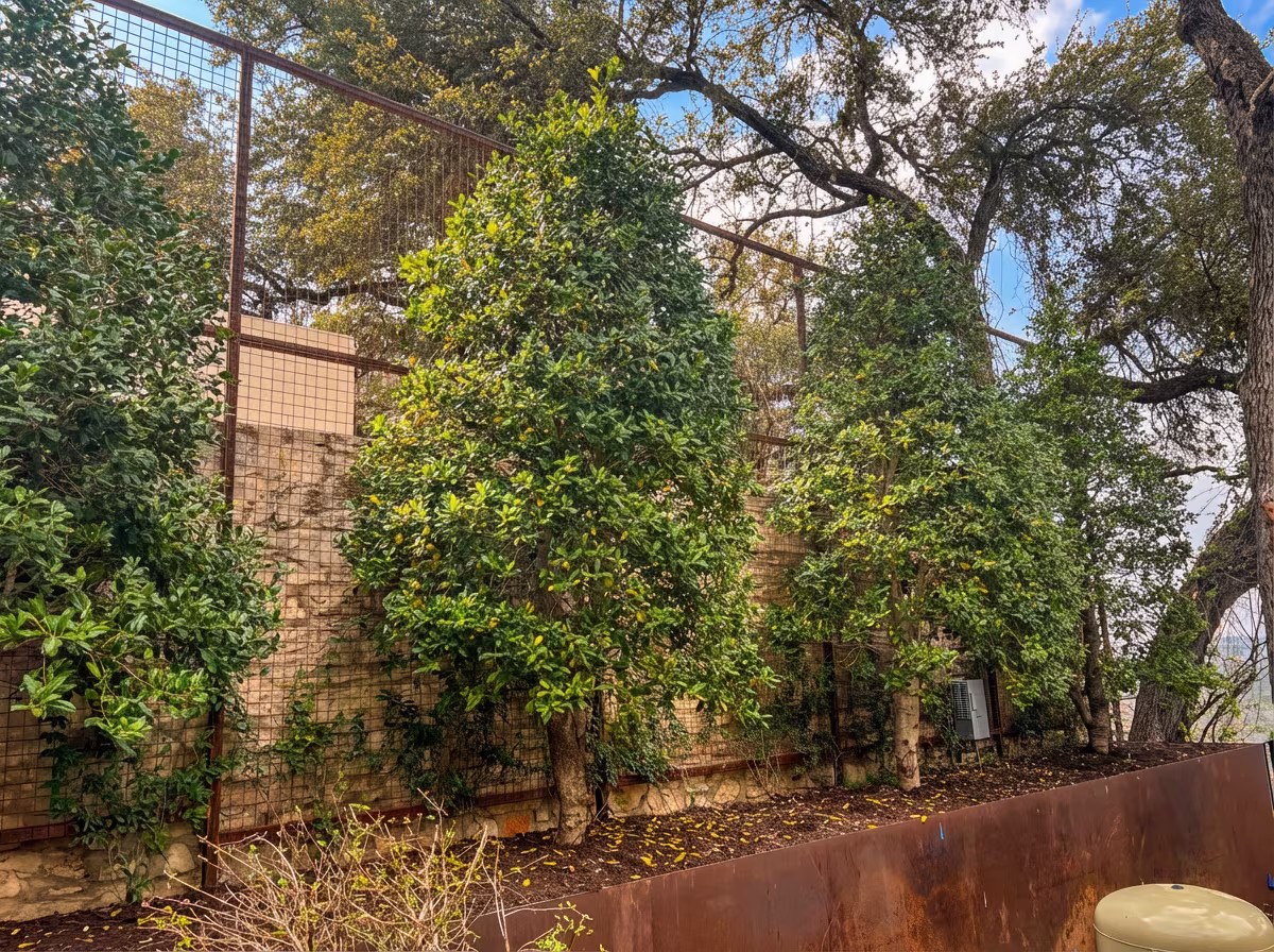 Austin Residential Privacy Wall on an Existing 16-Foot Screen